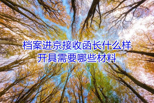 档案进京接收函长什么样，开具需要哪些材料