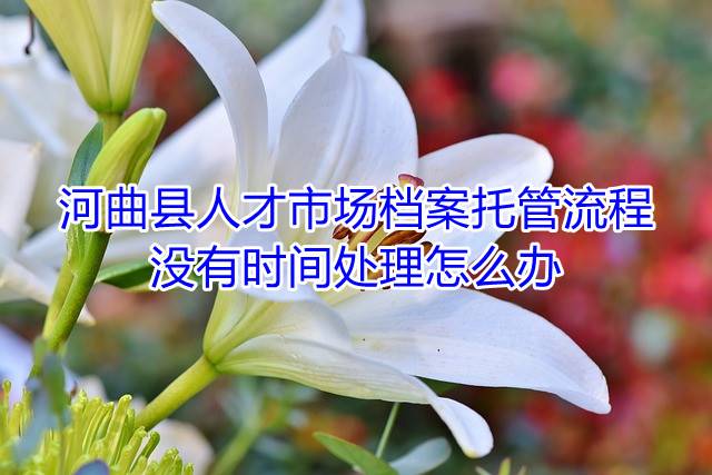 河曲县人才市场档案托管流程，没有时间处理怎么办