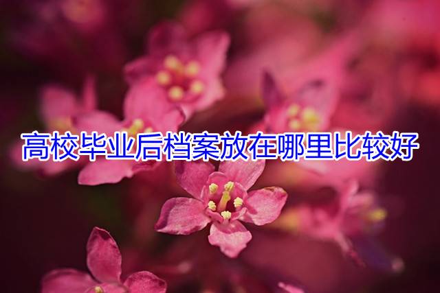 高校毕业后档案放在哪里比较好