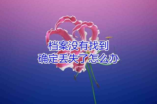档案没有找到，确定丢失了怎么办