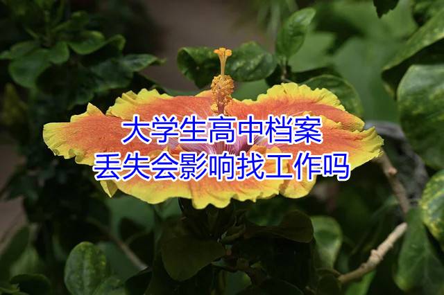 大学生高中档案丢失会影响找工作吗