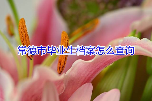 常德市毕业生档案怎么查询