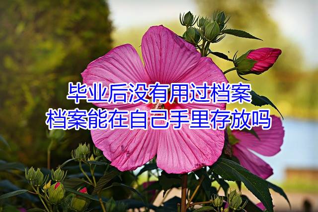 毕业后没有用过档案，档案能在自己手里存放吗