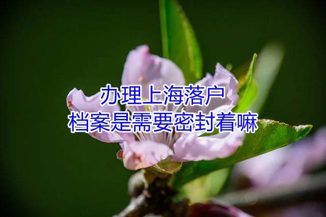 办理上海落户，档案是需要密封着嘛