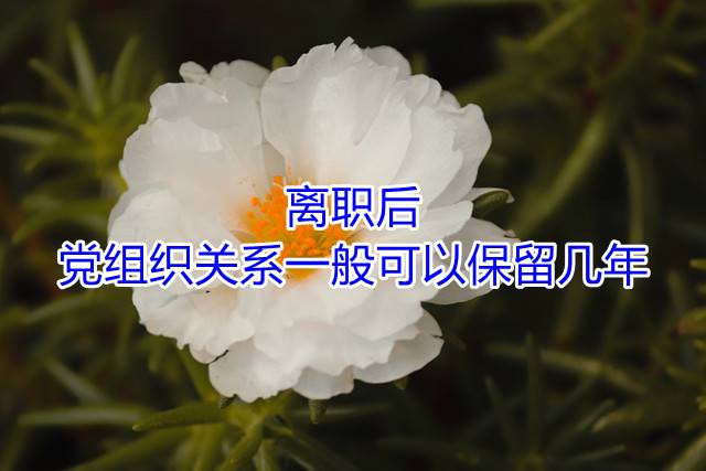 离职后党组织关系一般可以保留几年