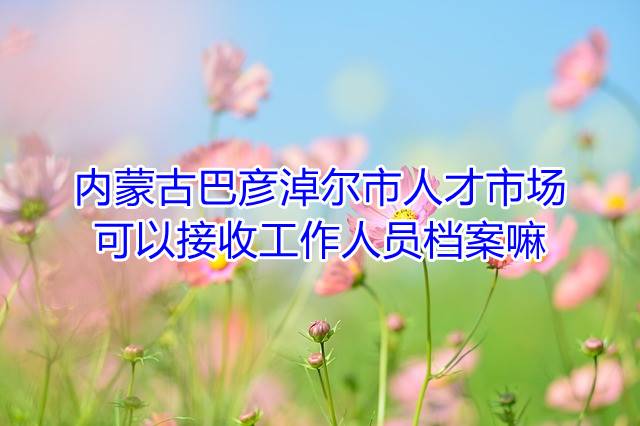 内蒙古巴彦淖尔市人才市场可以接收工作人员档案嘛