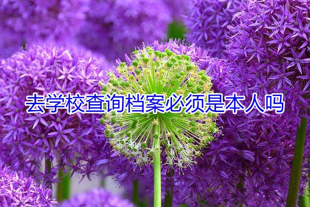 去学校查询档案必须是本人吗