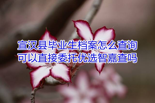 宣汉县毕业生档案怎么查询，可以直接委托优选智嘉查吗