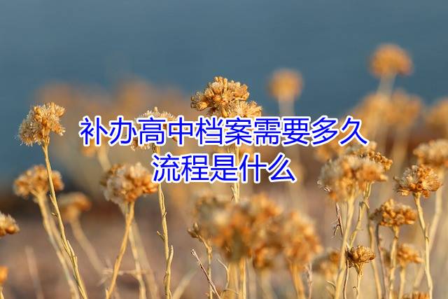 补办高中档案需要多久，流程是什么