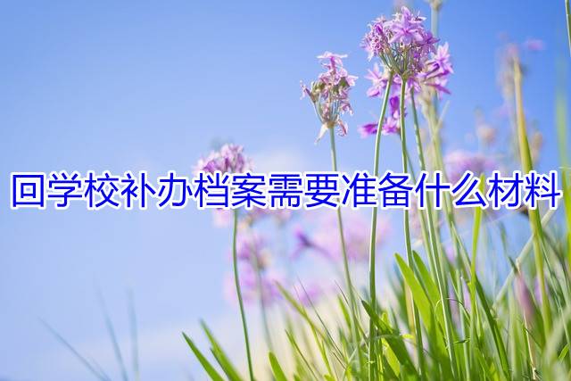 回学校补办档案需要准备什么材料
