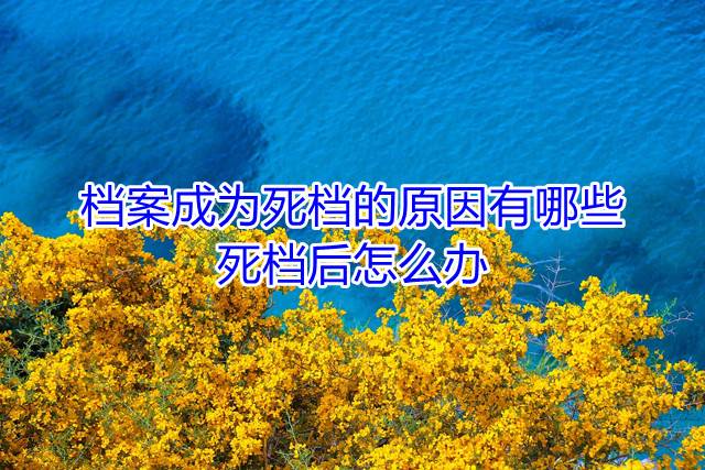 档案成为死档的原因有哪些，死档后怎么办