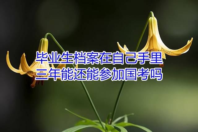 毕业生档案在自己手里三年能还能参加国考吗