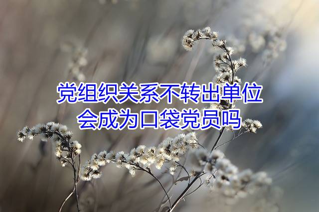 党组织关系不转出单位会成为口袋党员吗