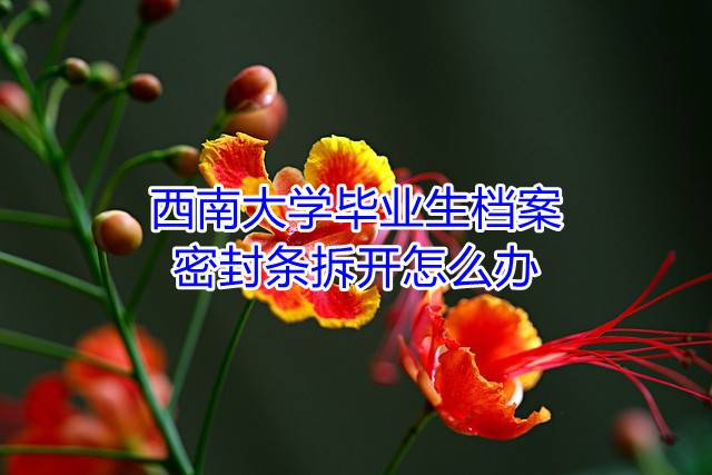 西南大学毕业生档案密封条拆开怎么办