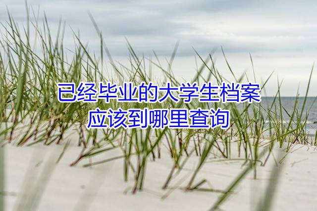 已经毕业的大学生档案应该到哪里查询