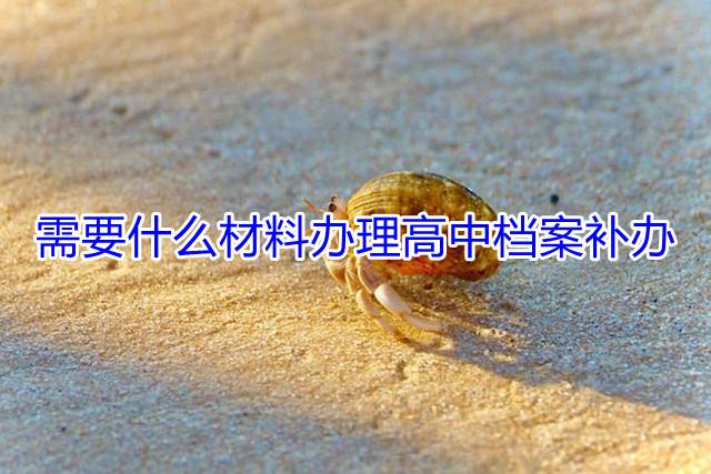 需要什么材料办理高中档案补办