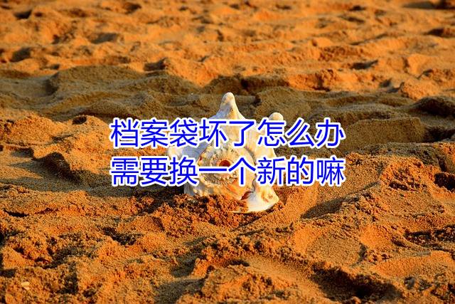 档案袋坏了怎么办，需要换一个新的嘛