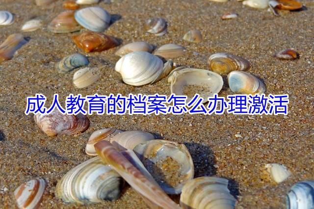 成人教育的档案怎么办理激活
