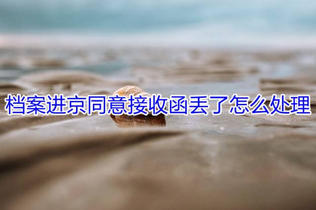 档案进京同意接收函丢了怎么处理