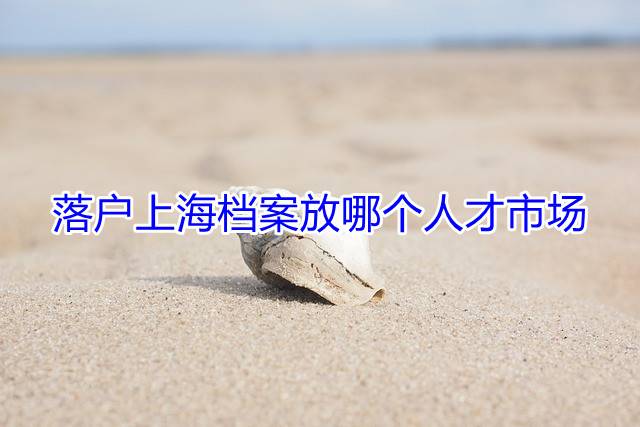 落户上海档案放哪个人才市场