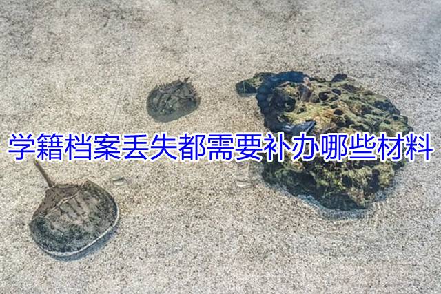 学籍档案丢失都需要补办哪些材料