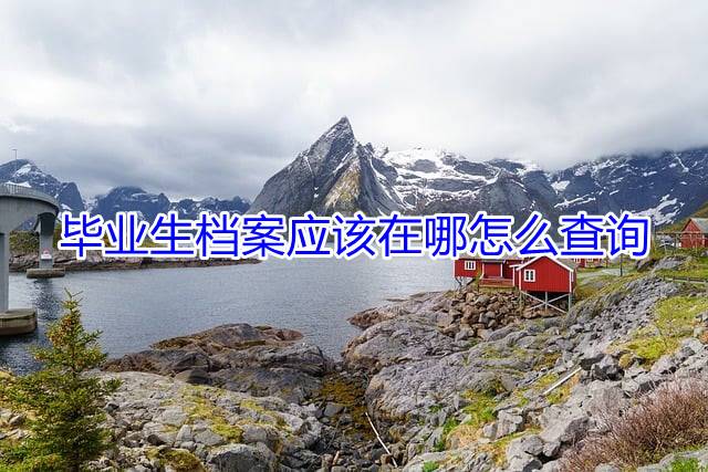毕业生档案应该在哪怎么查询