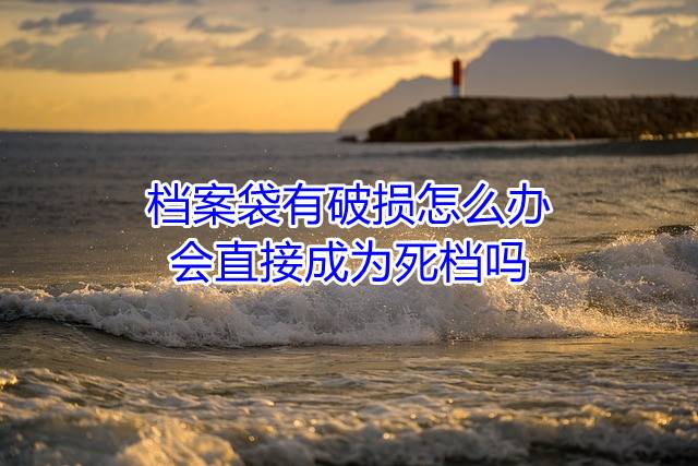 档案袋有破损怎么办，会直接成为死档吗