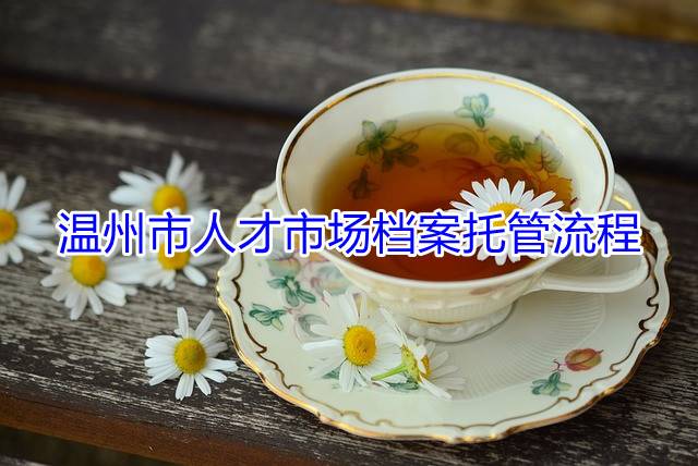 温州市人才市场档案托管流程