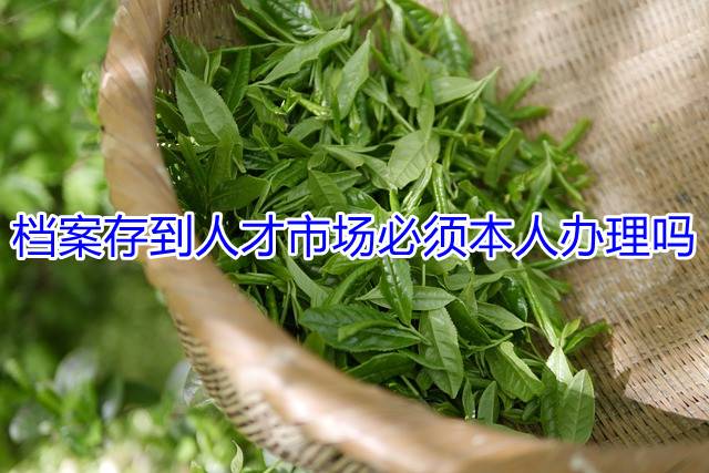 档案存到人才市场必须本人办理吗
