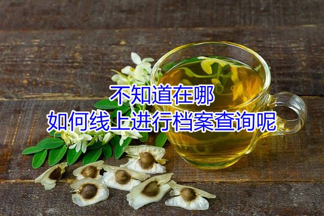 不知道在哪，如何线上进行档案查询呢