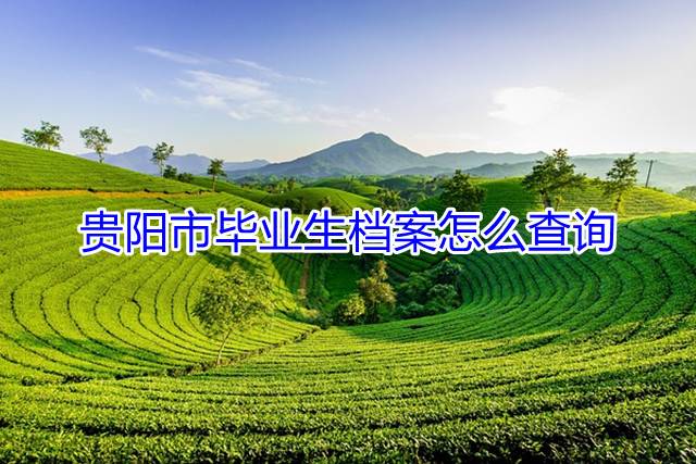 贵阳市毕业生档案怎么查询