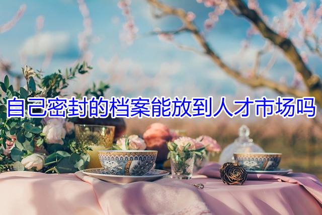 自己密封的档案能放到人才市场吗