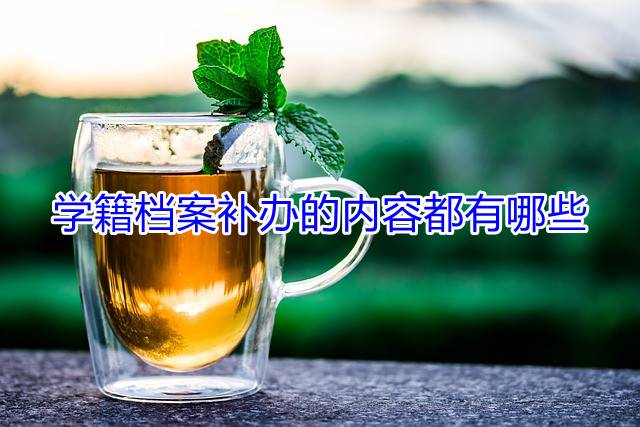 学籍档案补办的内容都有哪些