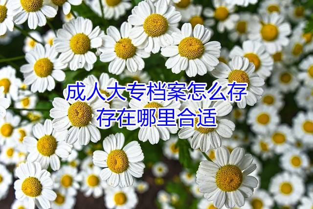 成人大专档案怎么存，存在哪里合适