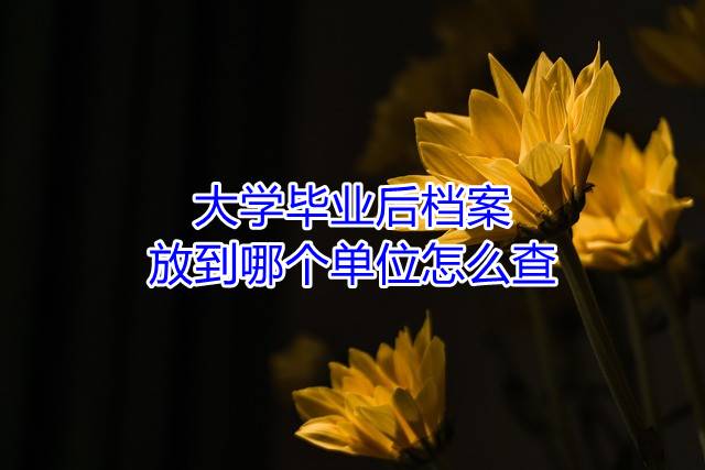 大学毕业后档案放到哪个单位怎么查
