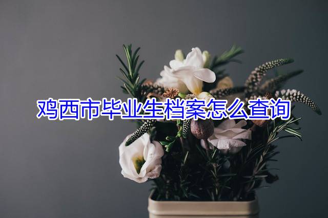 鸡西市毕业生档案怎么查询