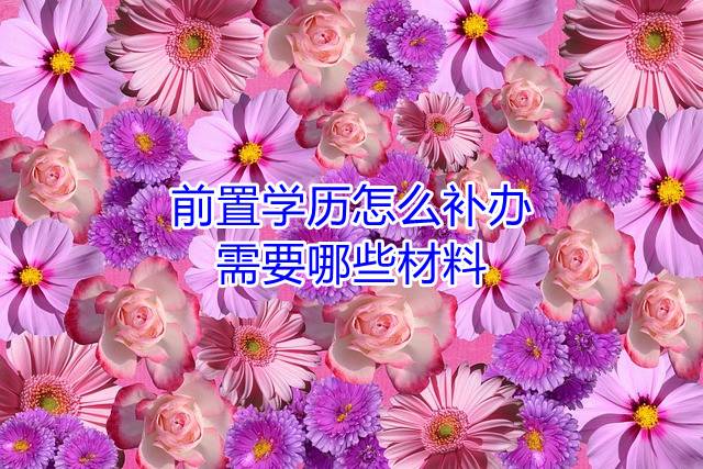 前置学历怎么补办，需要哪些材料