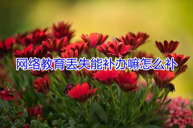 网络教育丢失能补办嘛怎么补