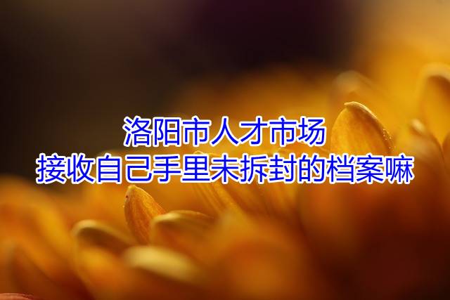 洛阳市人才市场接收自己手里未拆封的档案嘛