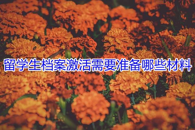   许多人希望出国深造，以提升自己的学历和资历，但在留学之前，关注个人档案是非常重要的。这是因为档案管理是中国特有的制度，而在国外并没有类似的档案管理机构可供选择。因此，留学前必须妥善处理好这些信息。在存档之前，首先要了解自己的留学情况。对于一些留学时间较长的学生，必须提前在学校之外妥善存档，以避免档案丢失的风险。目前，还有一些人选择将档案自行保管，但这种做法往往会导致档案失效，无法正常使用。一旦意识到这一点，他们可能会尝试激活档案。   留学生档案激活所需材料   个人档案一旦变为死档，必须进行激活。个人档案的活跃状态对我们的各项事务至关重要，包括退休、落户、参加考研和公务员考试等。如果不及时激活死档，将无法顺利办理这些事务，甚至可能影响到下一代的档案政审。因此，个人档案变为死档后，务必要办理激活手续。激活个人档案所需的材料包括个人档案、身份证原件及复印件等。   档案激活流程   在办理档案激活时，建议首先联系人才市场，咨询所需材料和具体流程。接着，根据工作人员的指导，准备好相关材料，前往人才中心办理档案激活手续。工作人员会审核个人档案，确保材料齐全。如果确认无误，他们会协助办理档案托管手续。最终，个人档案将存放在具有人事权的机构中   办理个人档案激活不仅关系到个人的各项事务，也影响到未来的发展和权益保障。因此，对于每个人来说，办理个人档案激活是极其重要的，绝不可忽视!