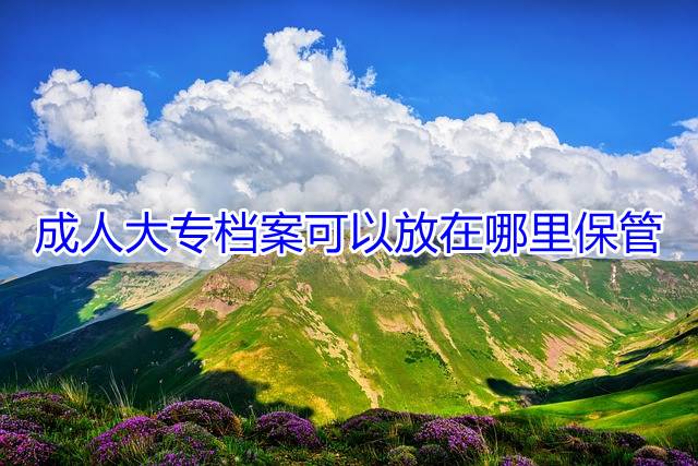 成人大专档案可以放在哪里保管
