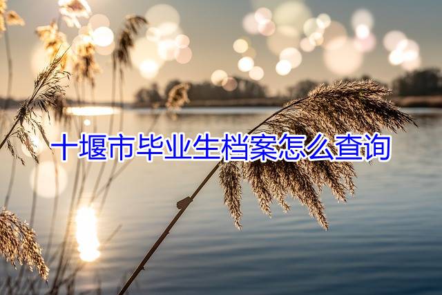 十堰市毕业生档案怎么查询