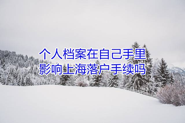 个人档案在自己手里影响上海落户手续吗