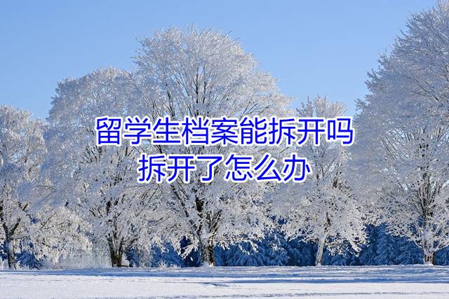 留学生档案能拆开吗，拆开了怎么办