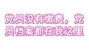 党员没有缴费，党员档案都在我这里能处理吗