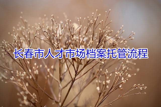 长春市人才市场档案托管流程
