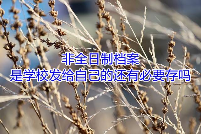 非全日制档案是学校发给自己的还有必要存吗
