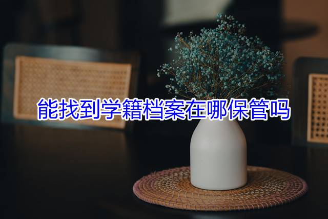 能找到学籍档案在哪保管吗