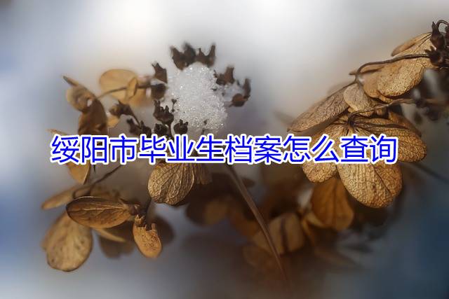 绥阳市毕业生档案怎么查询