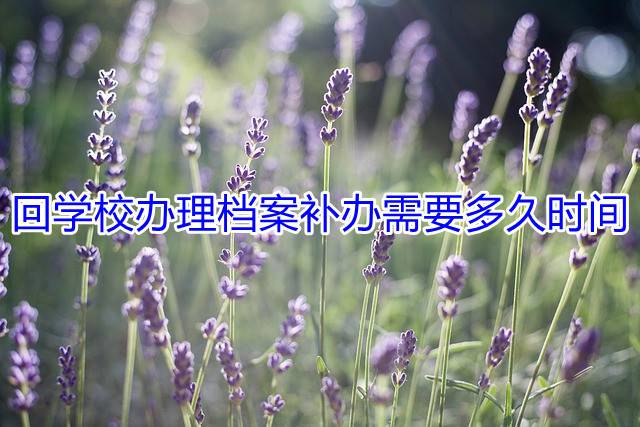 回学校办理档案补办需要多久时间